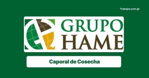 Plaza de caporal de Cosecha en Grupo Hame Guatemala 2026