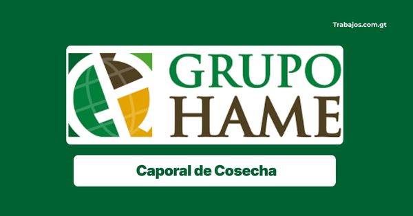 Plaza de caporal de Cosecha en Grupo Hame Guatemala 2026